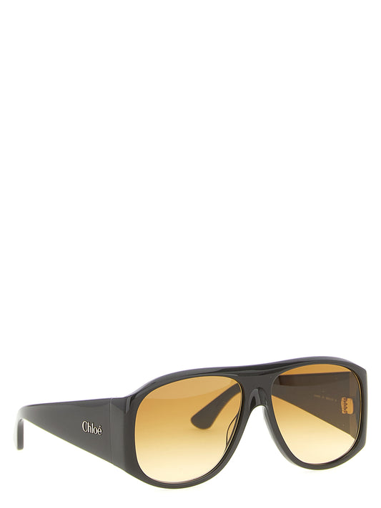 Brown Acetate Sunglasses