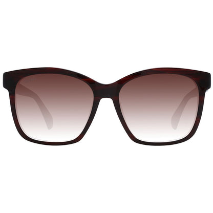 Burgundy Plastic Sunglasses