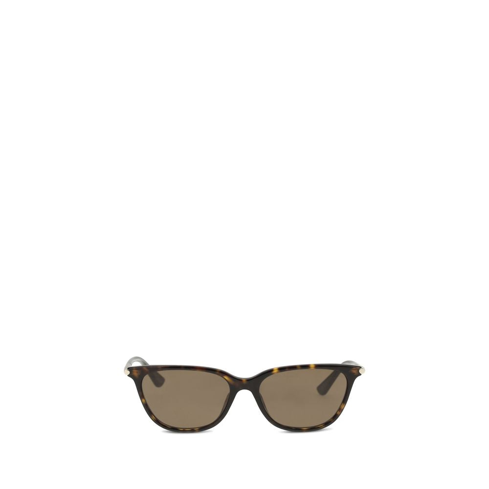 Brown Acetate Sunglasses