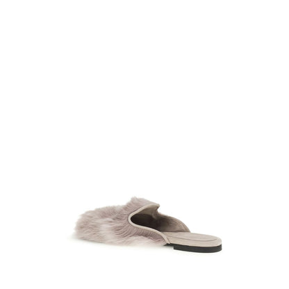Gray Lamb Ovis Aries Aries Mules