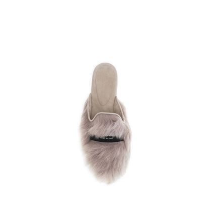 Gray Lamb Ovis Aries Aries Mules