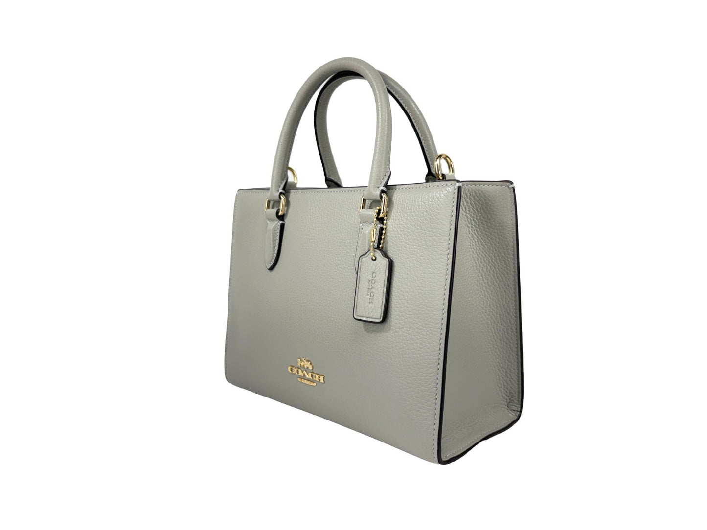 Coach Maggie Small Leather Crossbody Tote Bag