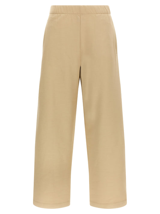 Brown Silk Casual Pants