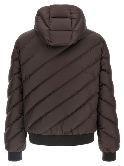 Multicolor Polyester Shell Jacket