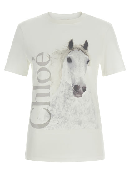 White Cotton T-Shirt