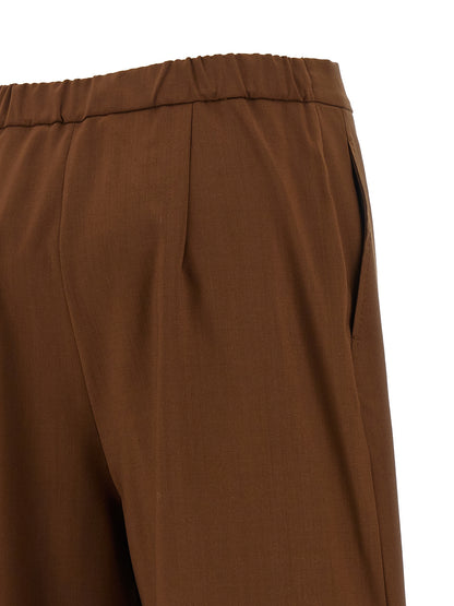 Brown Virgin Wool Pants