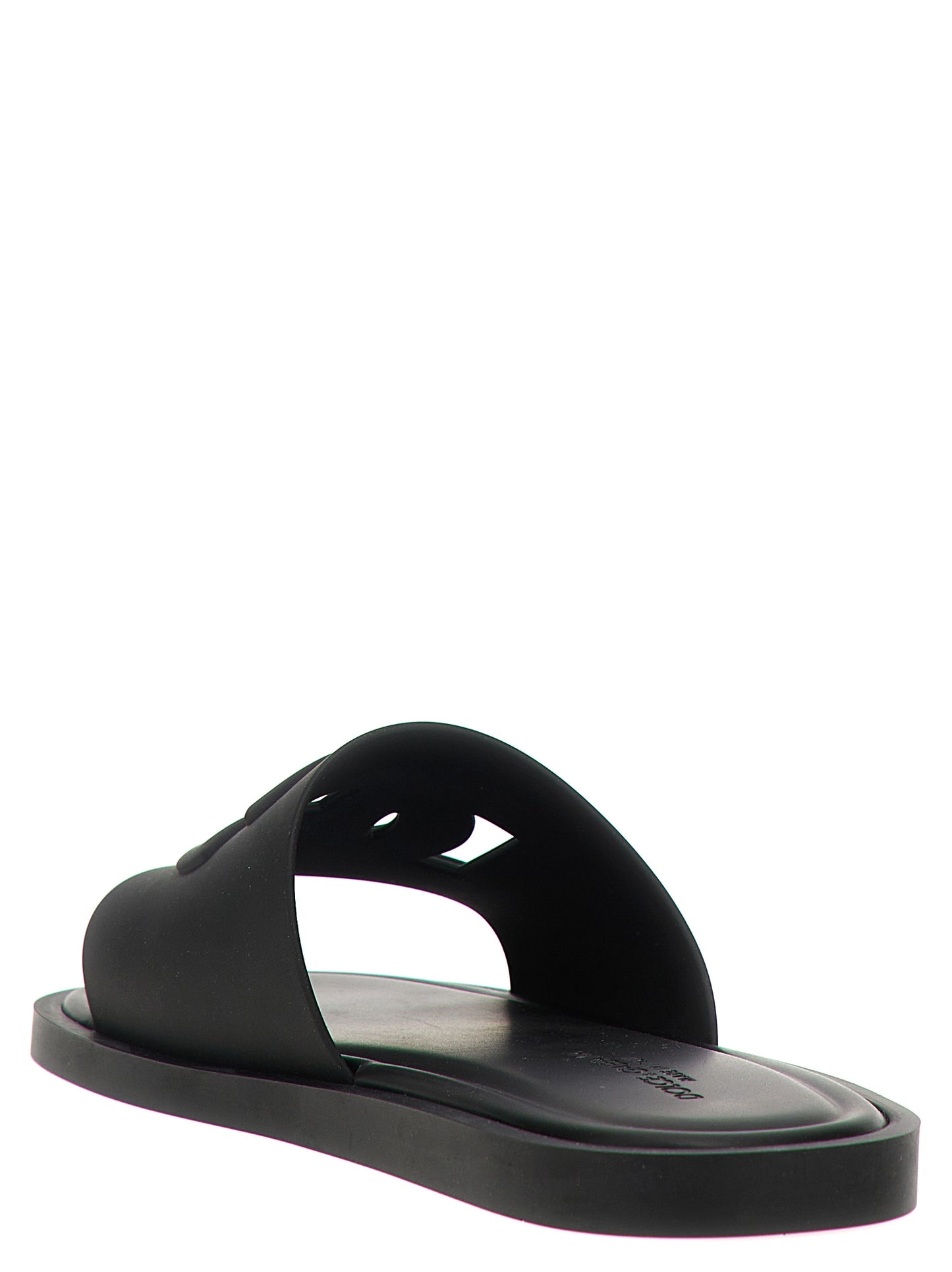 Black Polyethylene Slides