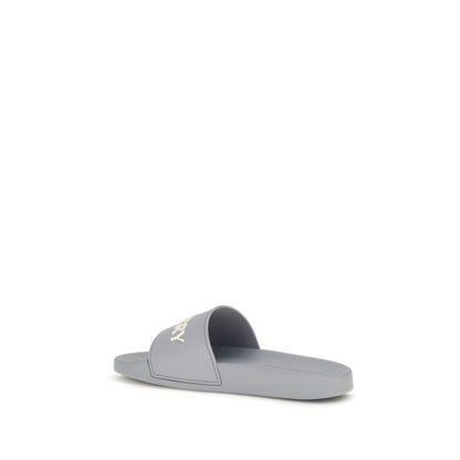 Gray Rubber Slides