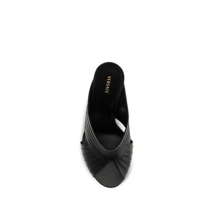 Black Lamb Ovis Aries Aries Mules