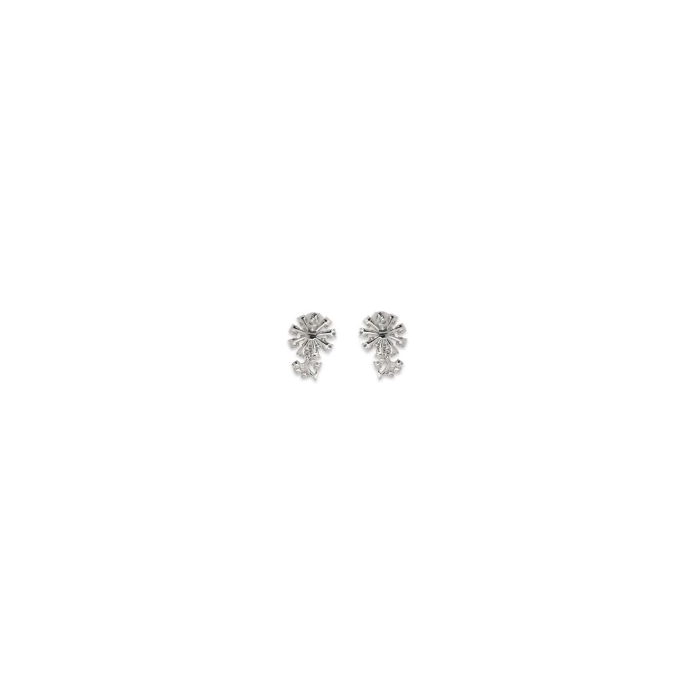 Silver Brass Earrings