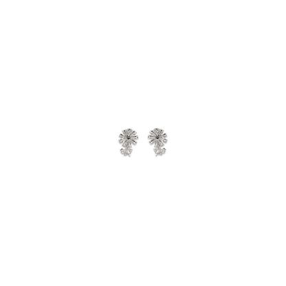 Silver Brass Earrings