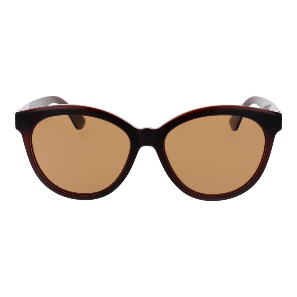 Brown Plastic Sunglasses