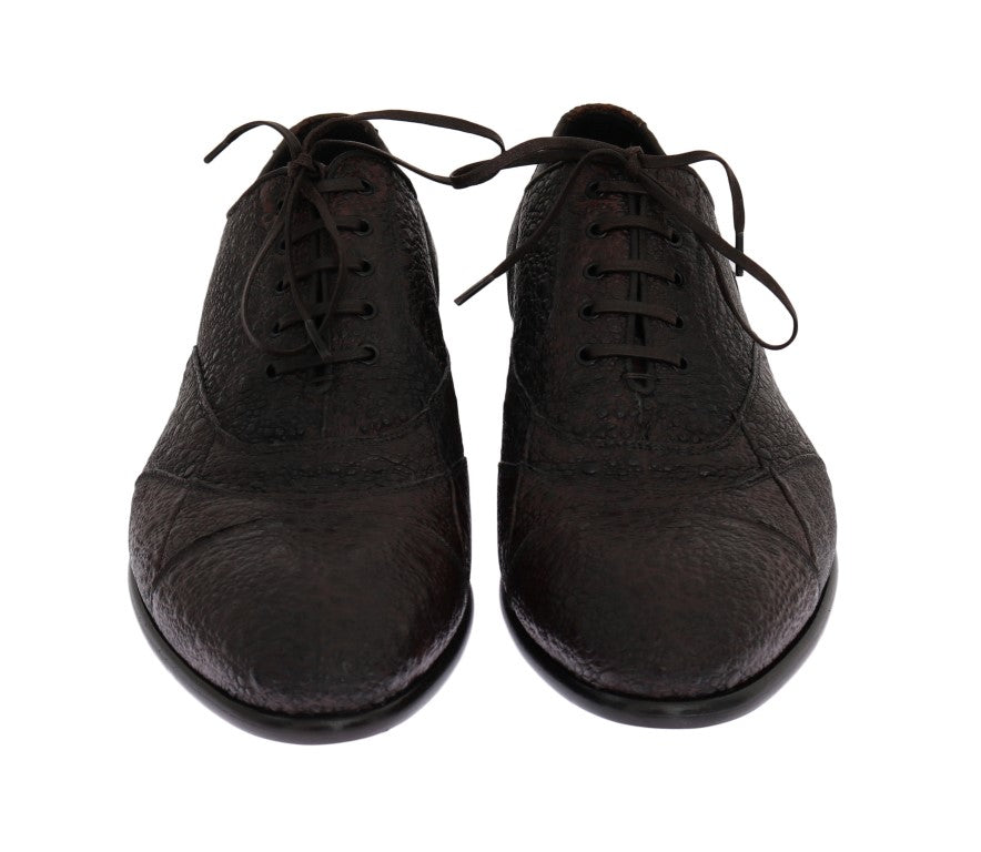 Brown Frog Skin Leather Derby Shoes