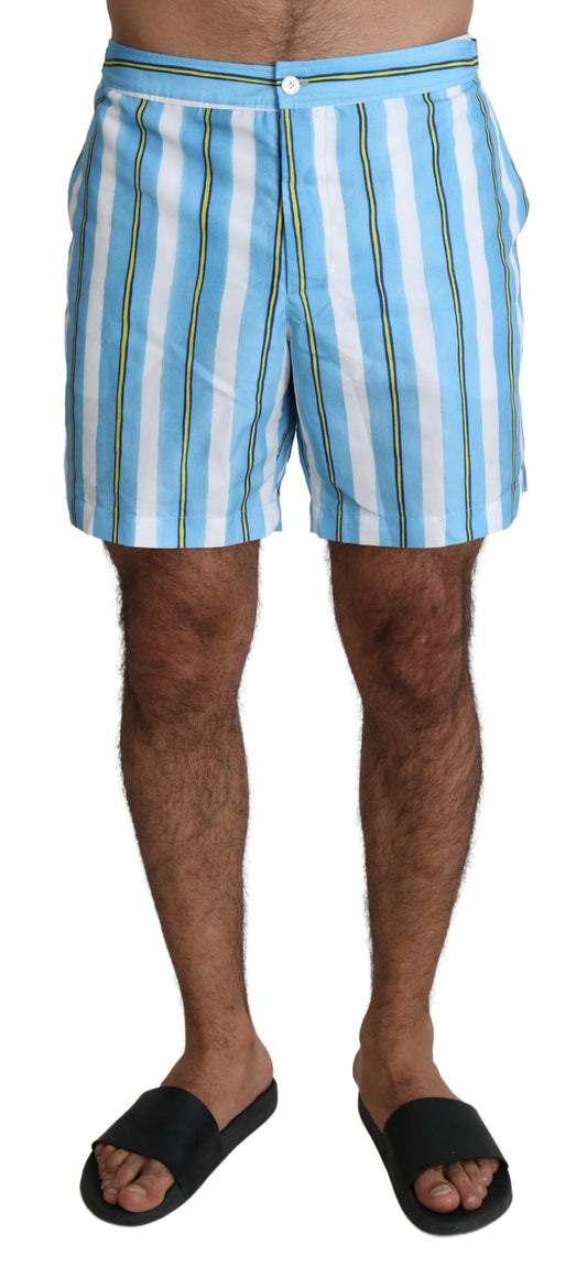 Striped Elegance Swim Shorts