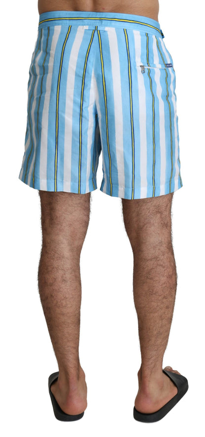 Striped Elegance Swim Shorts