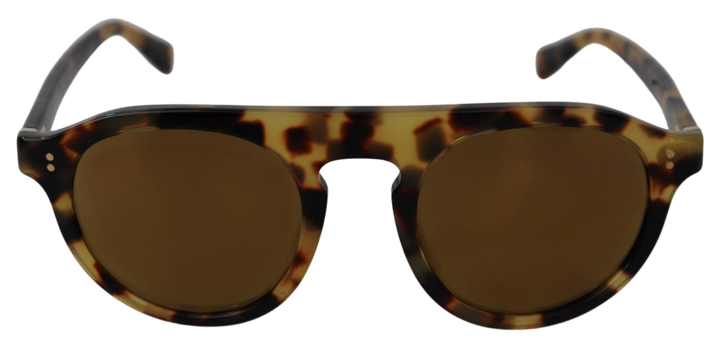 Brown Tortoise Oval Full Rim Sunglasses